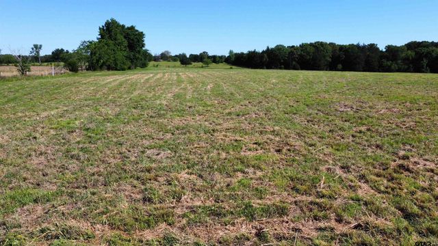 TBD County Road 4930, Quitman, TX 75783
