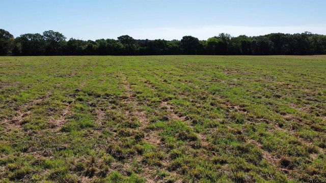 TBD County Road 4930, Quitman, TX 75783