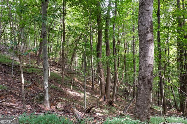 0 Sal Mountain Way, Sautee Nacoochee, GA 30571