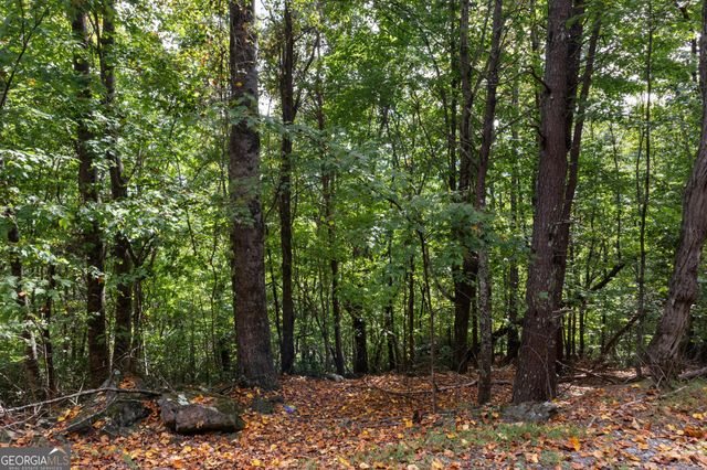 0 Sal Mountain Way, Sautee Nacoochee, GA 30571