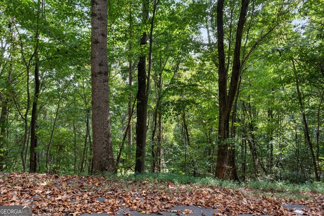 0 Sal Mountain Way, Sautee Nacoochee, GA 30571