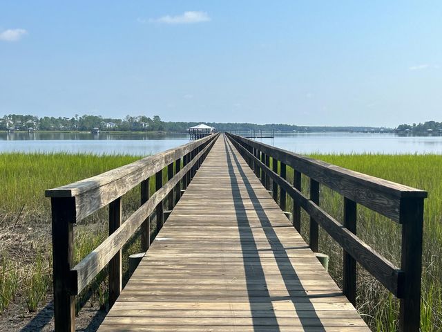 2378 Brackish Drive, Mount Pleasant, SC 29466