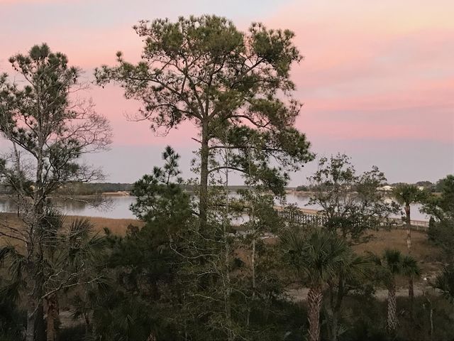 2378 Brackish Drive, Mount Pleasant, SC 29466