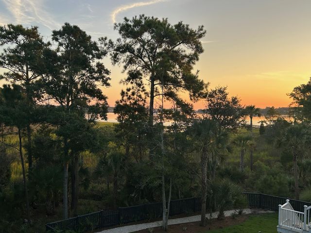 2378 Brackish Drive, Mount Pleasant, SC 29466