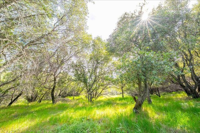 3610 Sugar View Rd, Meadow Vista, CA 95722