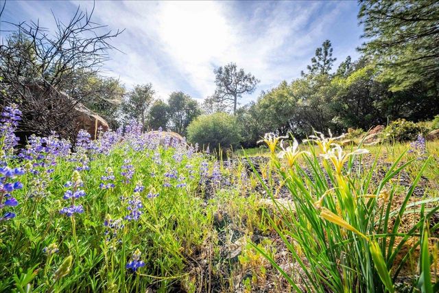 3610 Sugar View Rd, Meadow Vista, CA 95722