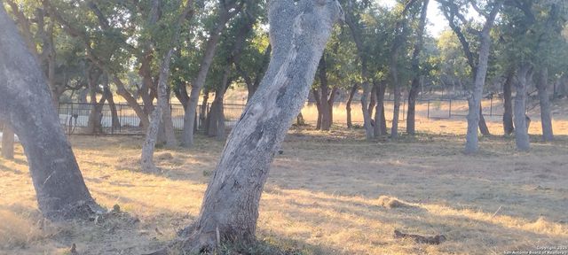 954 maximino ridge, Bulverde, TX 78163