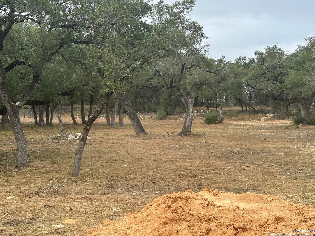 954 maximino ridge, Bulverde, TX 78163
