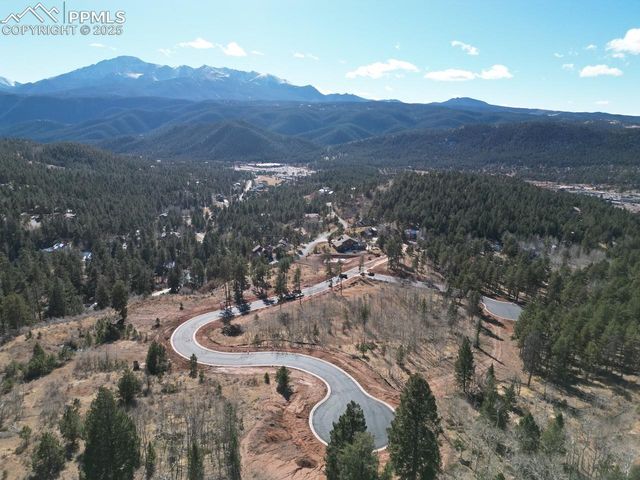 1365 Blue Haven Place, Woodland Park, CO 80863