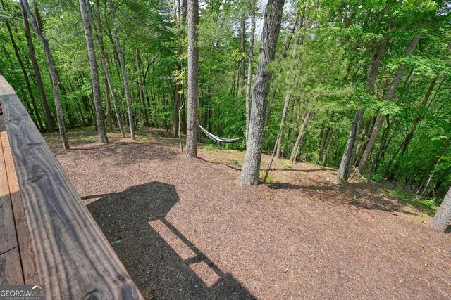 317 River Escape Drive, Ellijay, GA 30540