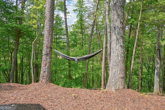 317 River Escape Drive, Ellijay, GA 30540