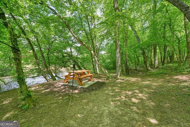 317 River Escape Drive, Ellijay, GA 30540