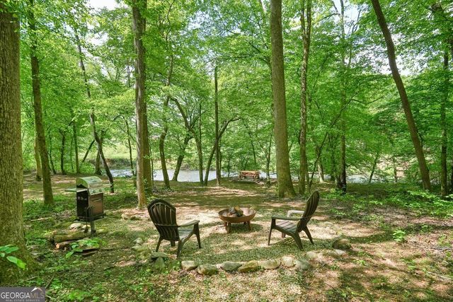 317 River Escape Drive, Ellijay, GA 30540