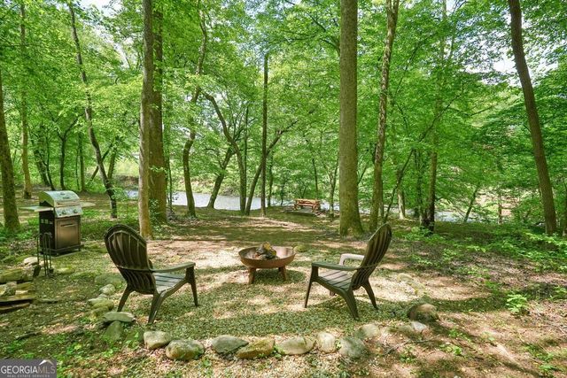 317 River Escape Drive, Ellijay, GA 30540