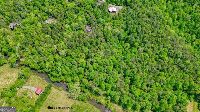 317 River Escape Drive, Ellijay, GA 30540