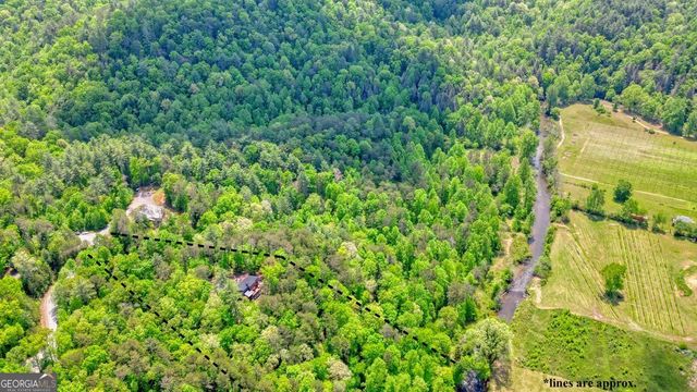 317 River Escape Drive, Ellijay, GA 30540
