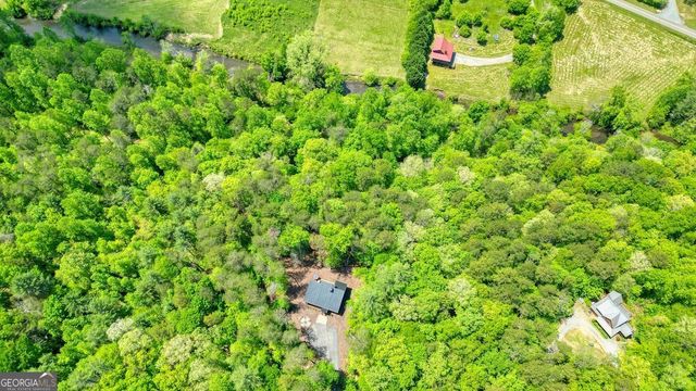317 River Escape Drive, Ellijay, GA 30540