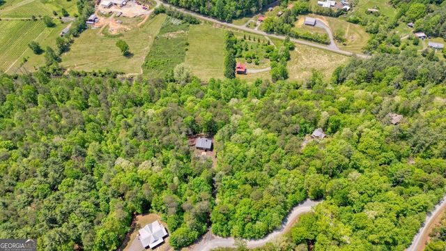 317 River Escape Drive, Ellijay, GA 30540