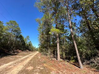 Parcel A Bear Head Road, Crestview, FL 32539
