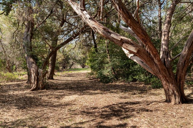 1606 Flint Rock LOOP, Driftwood, TX 78619