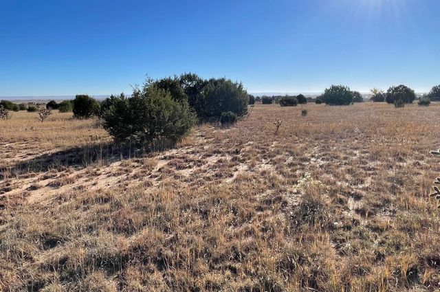 2 Cajun Lane, Edgewood, NM 87015