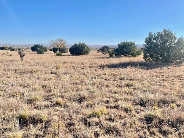 2 Cajun Lane, Edgewood, NM 87015