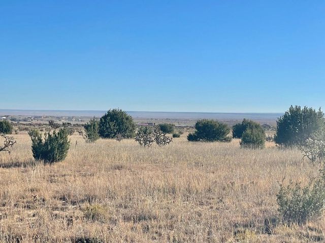 2 Cajun Lane, Edgewood, NM 87015