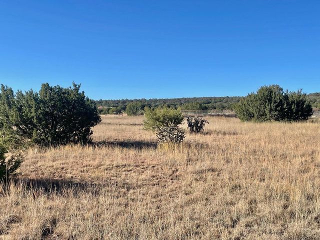 2 Cajun Lane, Edgewood, NM 87015