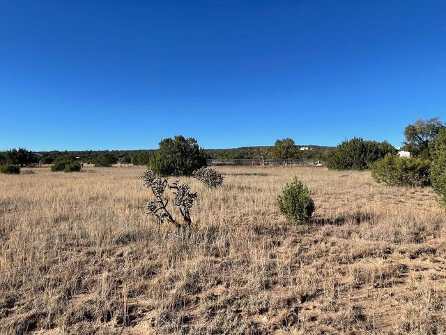 2 Cajun Lane, Edgewood, NM 87015