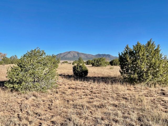 2 Cajun Lane, Edgewood, NM 87015