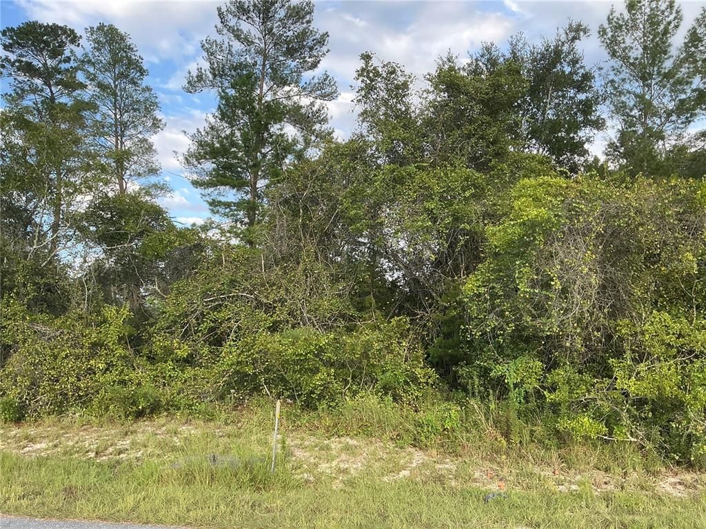 SW 35TH AVE ROAD, Ocala, FL 34473