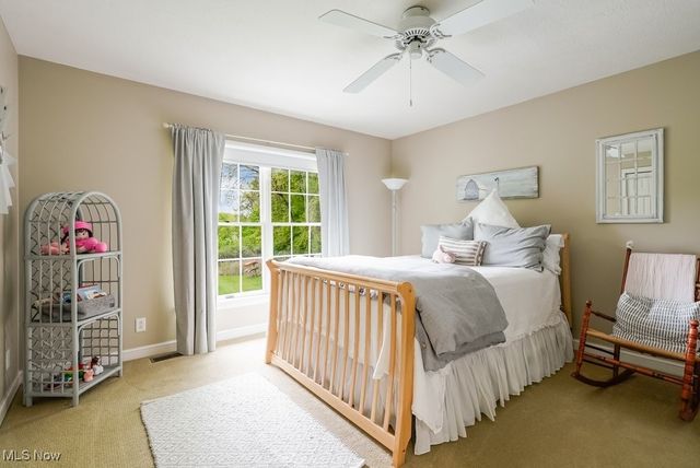 196 Lake Front Drive, Akron, OH 44319