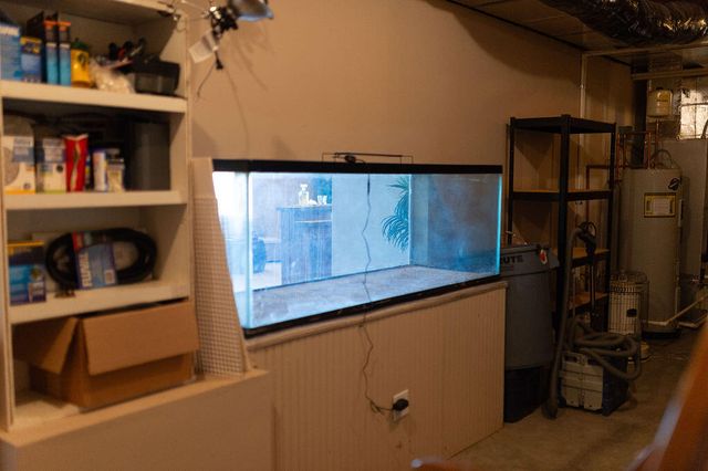 706 Hunter Drive, Lancaster, KY 40444