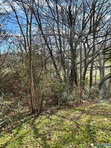 6206 Beech Hill Road, Pulaski, TN 38478
