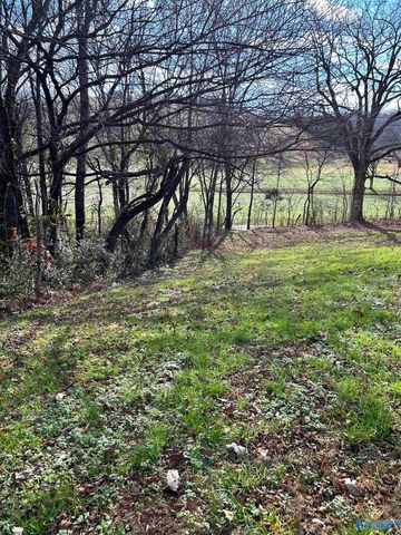 6206 Beech Hill Road, Pulaski, TN 38478