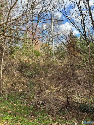 6206 Beech Hill Road, Pulaski, TN 38478