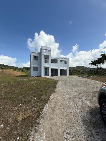 PR 918 JUAN DULIO CERRÓ GORDO, San Lorenzo, PR 00754