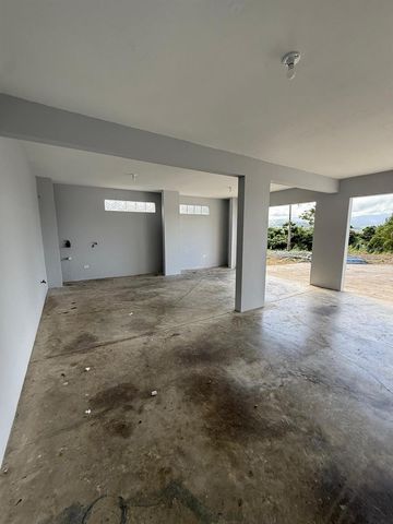 PR 918 JUAN DULIO CERRÓ GORDO, San Lorenzo, PR 00754