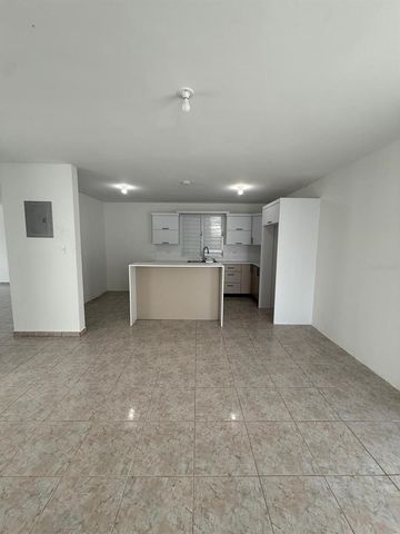 PR 918 JUAN DULIO CERRÓ GORDO, San Lorenzo, PR 00754