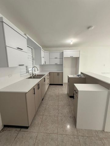 PR 918 JUAN DULIO CERRÓ GORDO, San Lorenzo, PR 00754