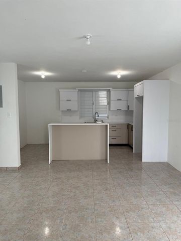 PR 918 JUAN DULIO CERRÓ GORDO, San Lorenzo, PR 00754