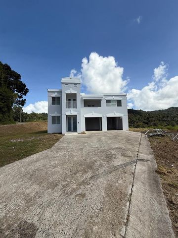 PR 918 JUAN DULIO CERRÓ GORDO, San Lorenzo, PR 00754