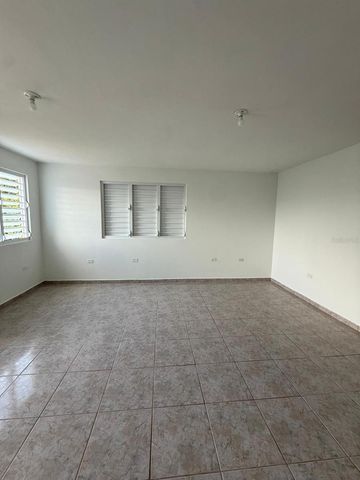 PR 918 JUAN DULIO CERRÓ GORDO, San Lorenzo, PR 00754