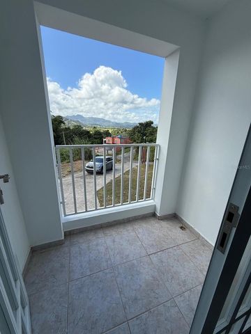 PR 918 JUAN DULIO CERRÓ GORDO, San Lorenzo, PR 00754