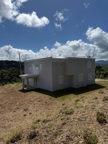 PR 918 JUAN DULIO CERRÓ GORDO, San Lorenzo, PR 00754