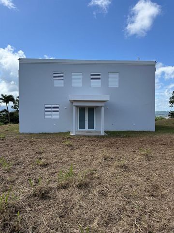 PR 918 JUAN DULIO CERRÓ GORDO, San Lorenzo, PR 00754