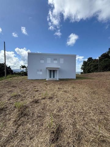 PR 918 JUAN DULIO CERRÓ GORDO, San Lorenzo, PR 00754