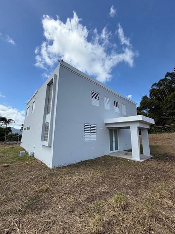 PR 918 JUAN DULIO CERRÓ GORDO, San Lorenzo, PR 00754