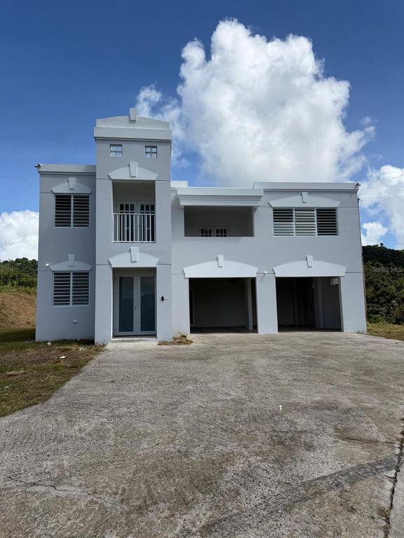 PR 918 JUAN DULIO CERRÓ GORDO, San Lorenzo, PR 00754