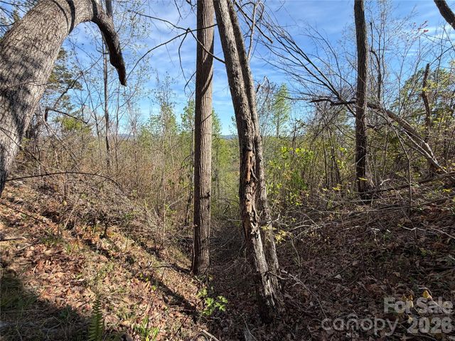 0 Running Cedar Trail, Morganton, NC 28655